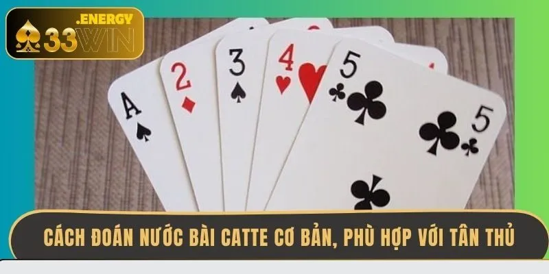 cach-doan-nuoc-bai-catte-co-ban-phu-hop-voi-tan-thu