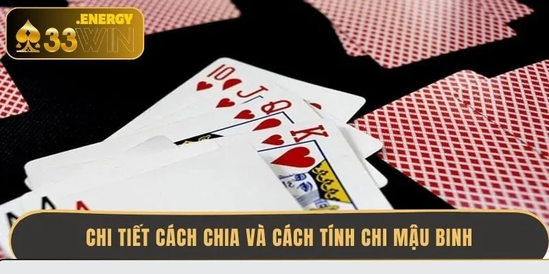 chi-tiet-cach-chia-va-cach-tinh-chi-mau-binh
